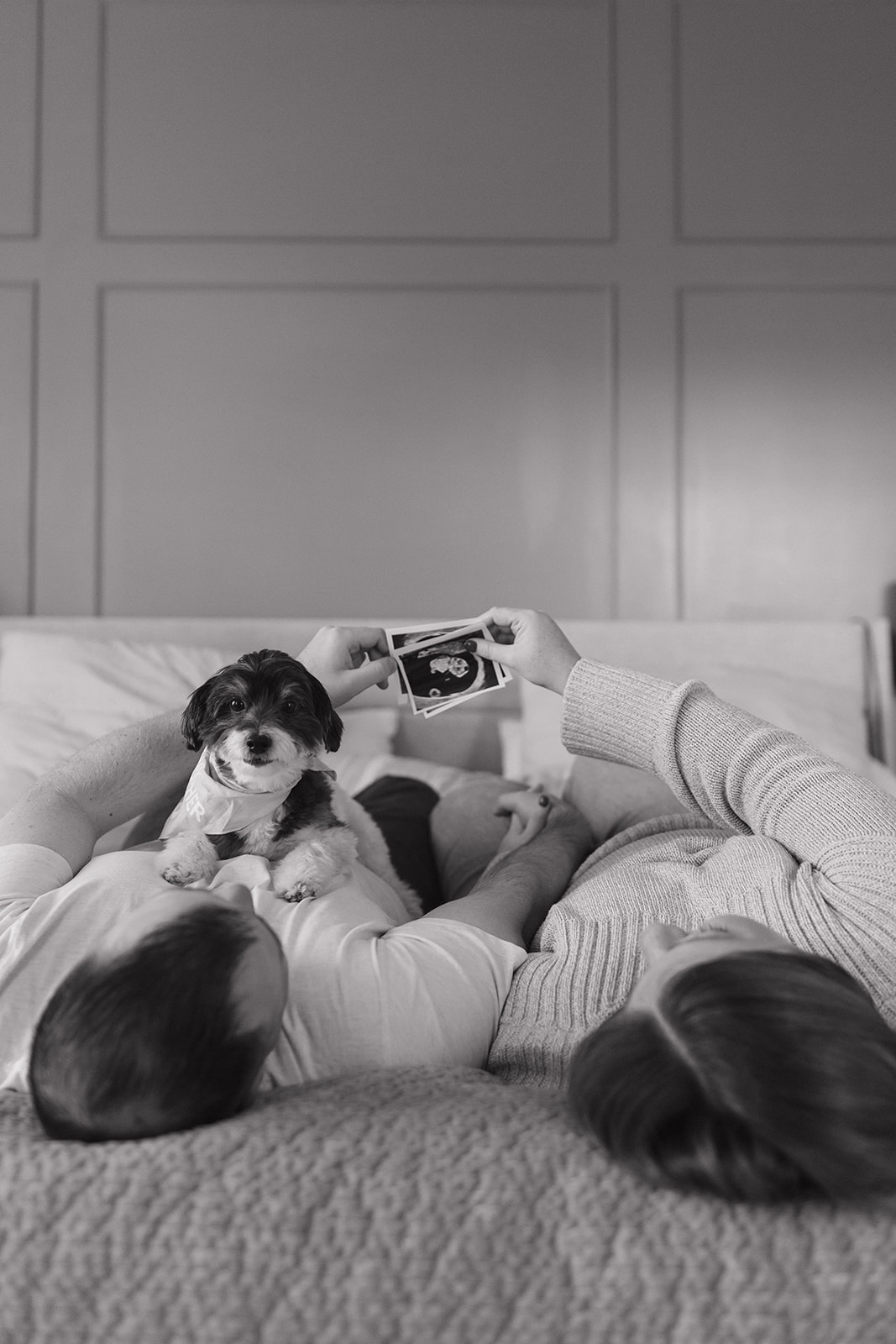 Looking for a cozy way to share your news? See this heartwarming in-home lifestyle pregnancy announcement session in Noblesville, IN. Get tips for your own Hamilton County session!